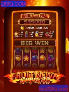 Explorando o Mundo do Jogo FruitNovaSuper40: Regras e Estratégias
